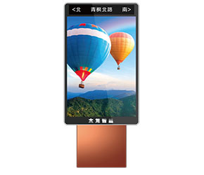 戶(hù)外LED廣告機(jī) 景區(qū)廣告機(jī) T3.125 800-1400mm 雙面LED廣告機(jī).jpg